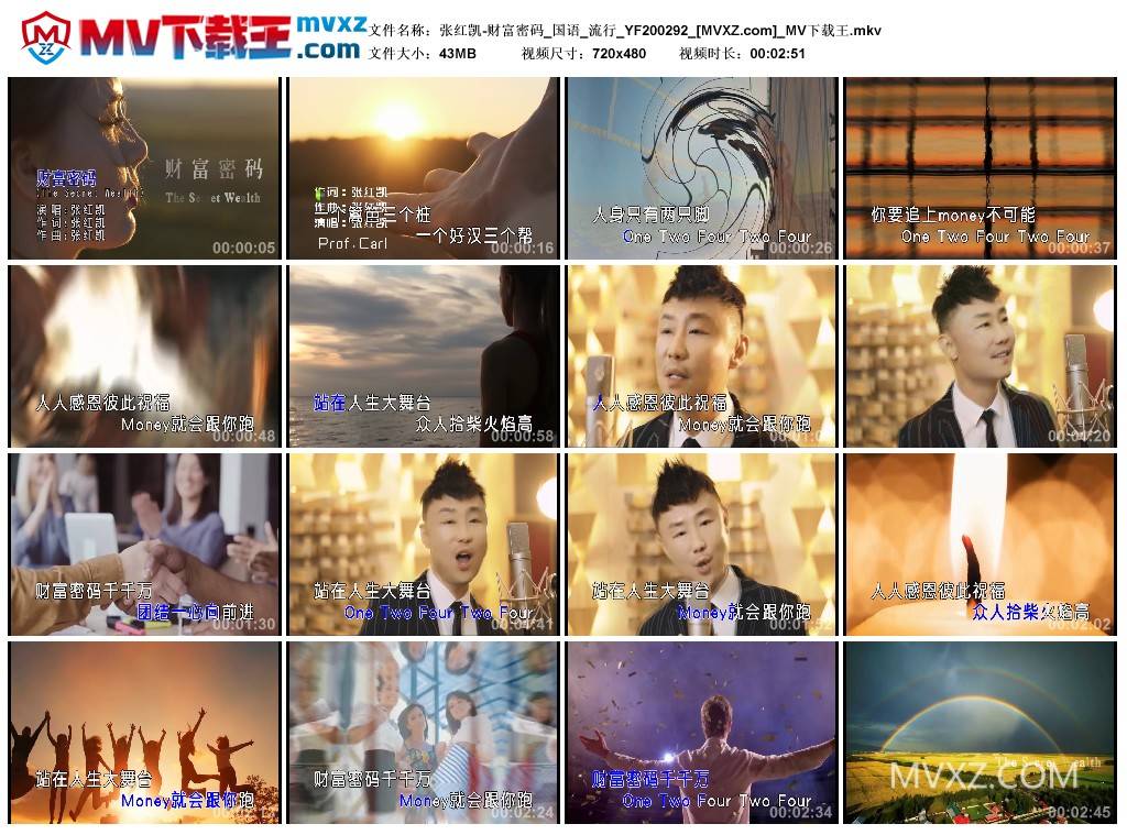 张红凯-财富密码_国语_流行_YF200292